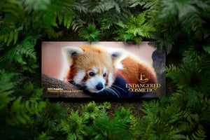 Picture of Endangered Cosmetics' Red Panda Palette surrounded by green leaves